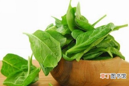 常吃菠菜好处多 需注意5个禁忌