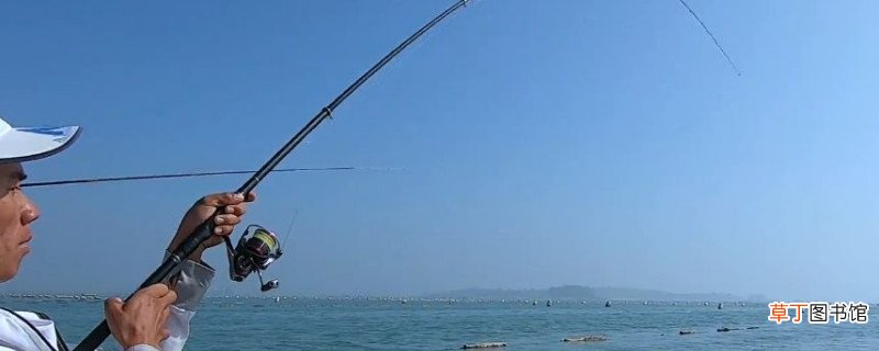 钓大鱼的技巧和方法