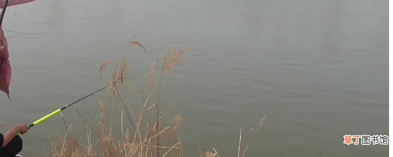 秋季钓鱼怎么调漂