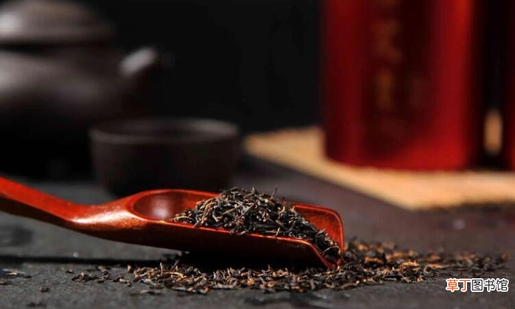 祁门红茶什么时候上市