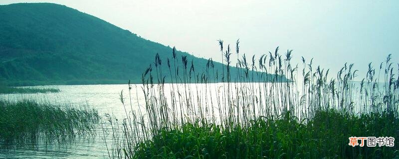 望洞庭湖赠张丞相的主旨 望洞庭湖赠张丞相的主旨大意
