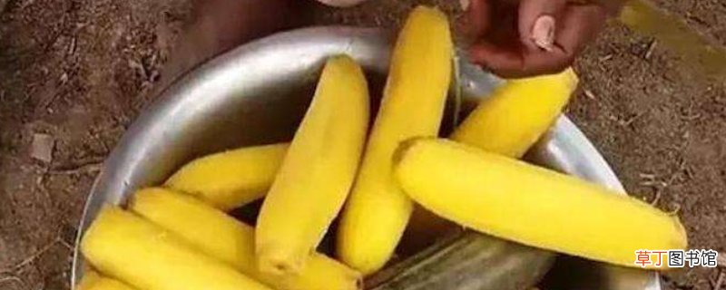 香蕉果肉变色了还能吃吗