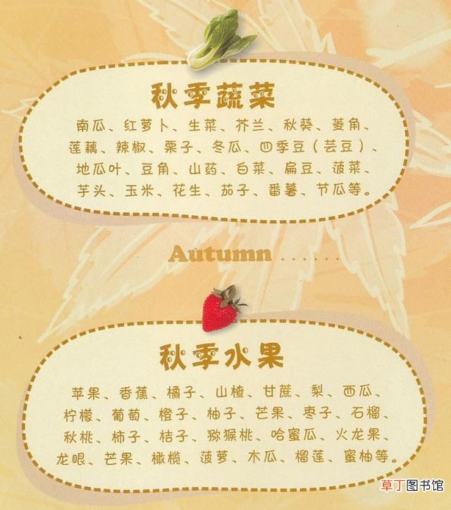 100道素食菜谱三个月不重样 素食菜谱大全做法