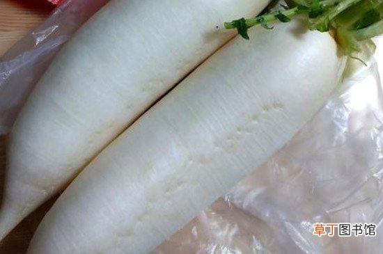 白萝卜怎么保存