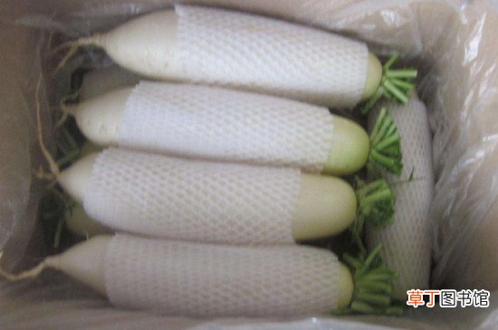 白萝卜怎么保存