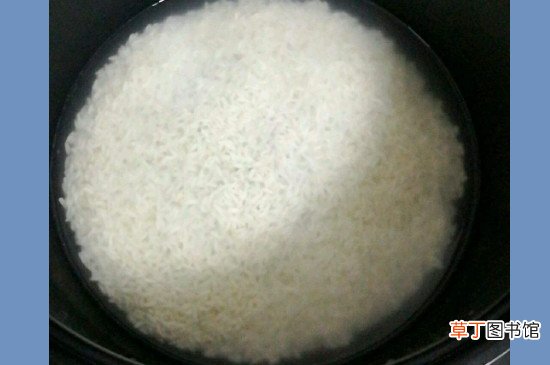 电饭锅焖米饭用多少米多少水