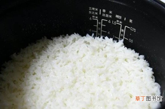 电饭锅焖米饭用多少米多少水