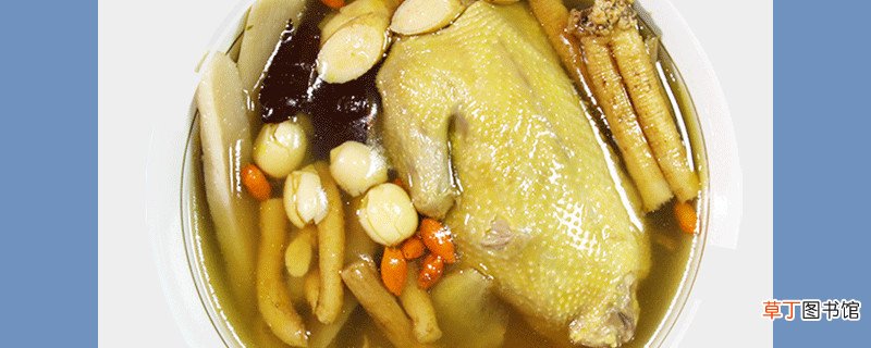 炖鸽子汤用冷水还是热水