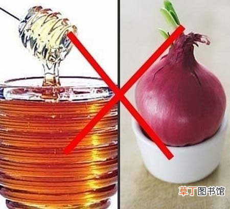 吃洋葱预防富贵病洋葱和什么食物相克