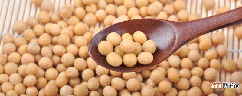 纳豆和黄豆的区别