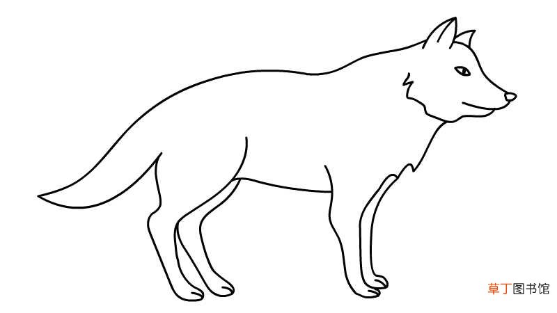 狼简笔画的画法狼简笔画的教程