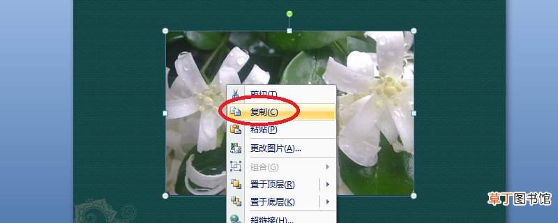 怎样复制出ppt里的图片