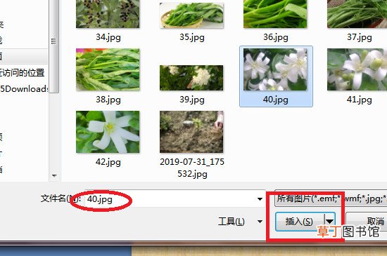 ppt怎样设置自定义背景图片