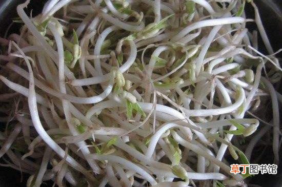 羽绒服受潮发霉有黑点