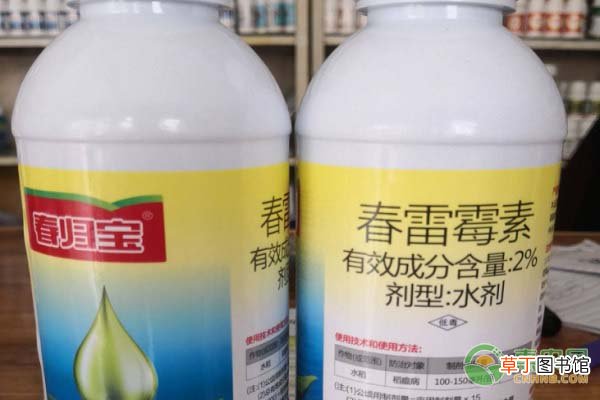 春雷霉素主治哪些病害？