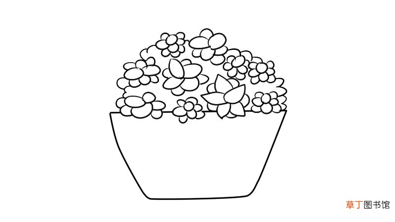 一摸香植物简笔画 一摸香植物简笔画怎么画