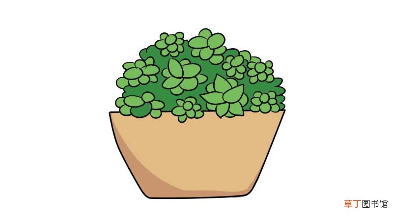 一摸香植物简笔画 一摸香植物简笔画怎么画