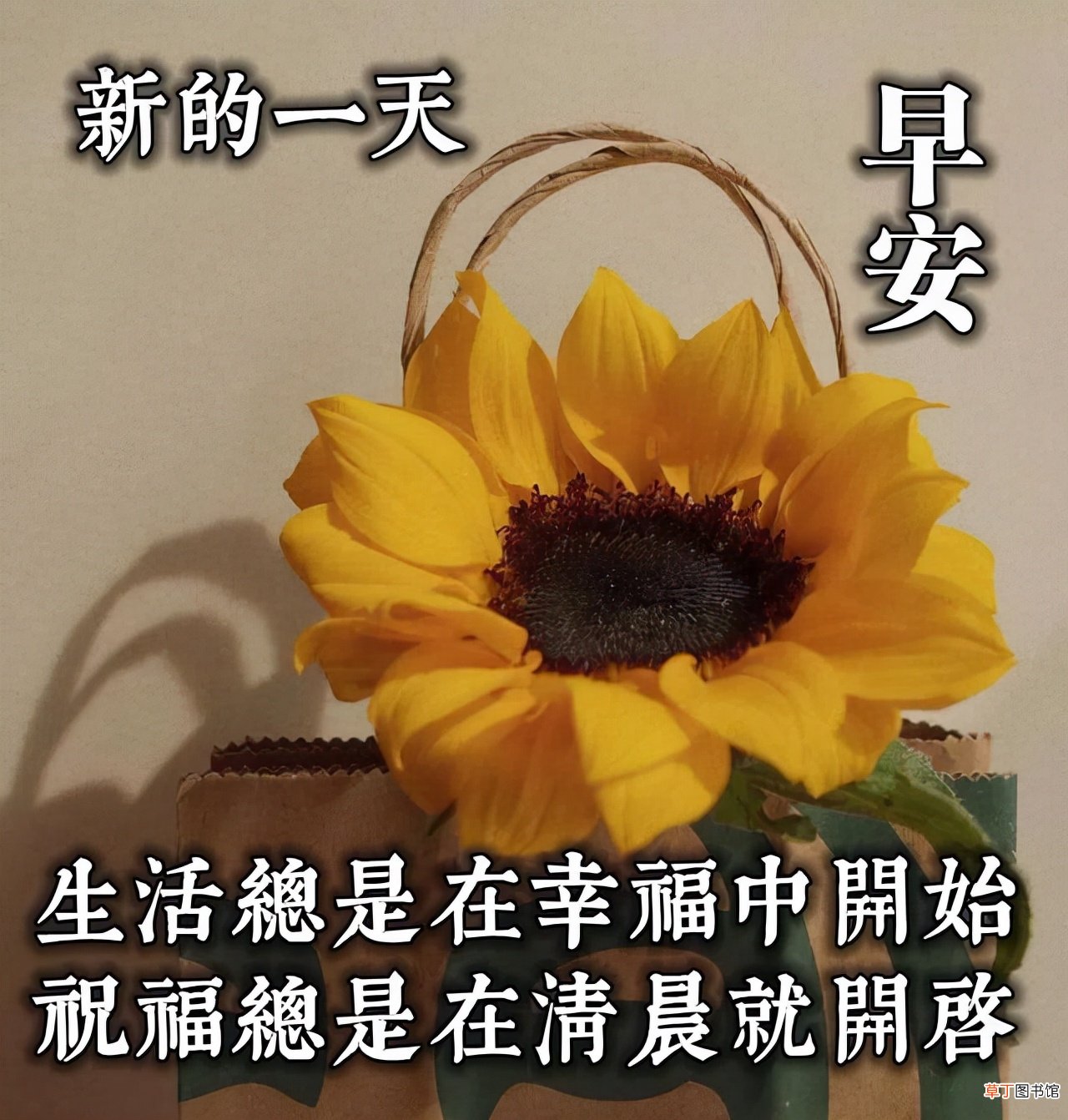 适合早上发朋友圈的语录 早上吸引朋友圈的句子