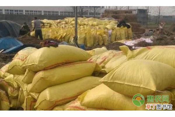 菌肥对果树的作用与使用方法是什么？