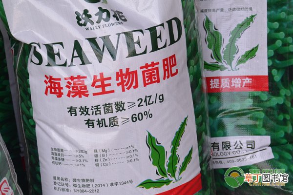菌肥对果树的作用与使用方法是什么？
