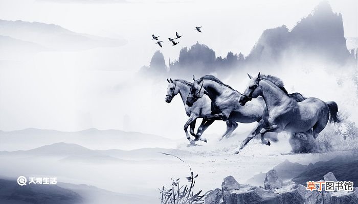 己亥岁这首诗深刻地揭示了什么 己亥岁这首诗揭示了什么
