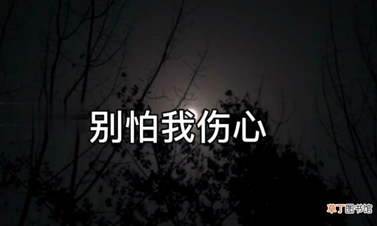 我从来不敢给你任何诺言是什么歌