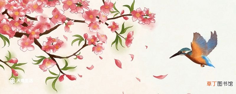 游园不值作者经历了什么事 游园不值作者经历了什么事情