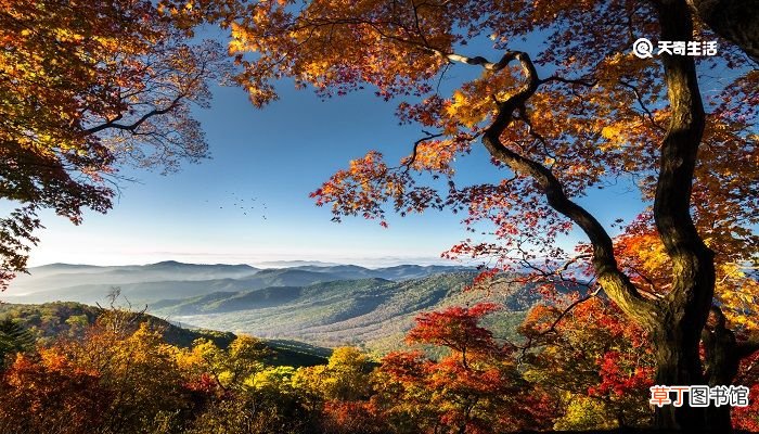 今逢四海为家日,故垒萧萧芦荻秋对应西塞山的是 今逢四海为家日故垒萧萧芦荻秋的意思