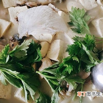 家庭版鱼头炖豆腐简单又好吃 鱼头炖豆腐的家常做法