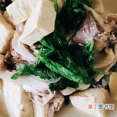 家庭版鱼头炖豆腐简单又好吃 鱼头炖豆腐的家常做法