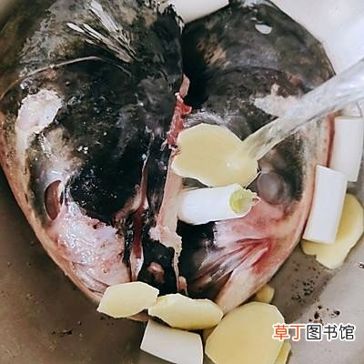 家庭版鱼头炖豆腐简单又好吃 鱼头炖豆腐的家常做法