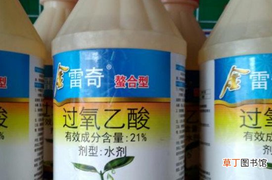 过氧乙酸是什么