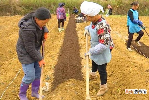 茶香果香腊肉香！明晚7点半，CCTV-4《中国舆论场》带你看飘香的黔西南州贞丰县
