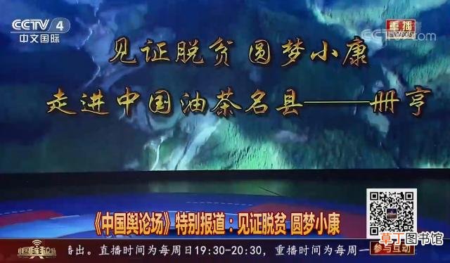 茶香果香腊肉香！明晚7点半，CCTV-4《中国舆论场》带你看飘香的黔西南州贞丰县