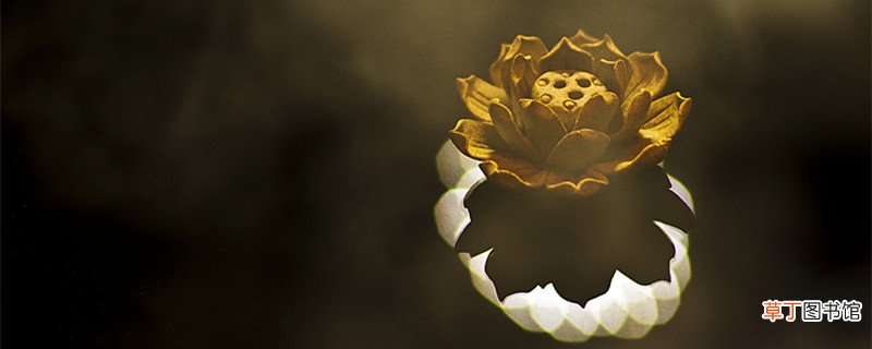因果不虚什么意思 因果不虚上一句