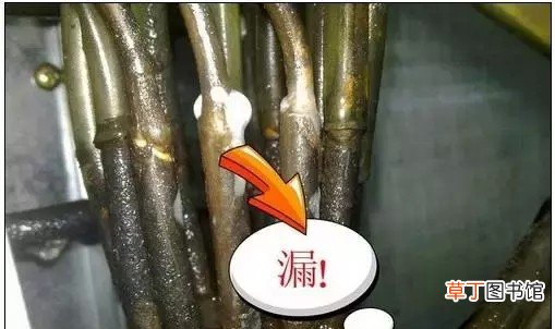 制冷剂的种类与检漏的方法 制冷剂有几种