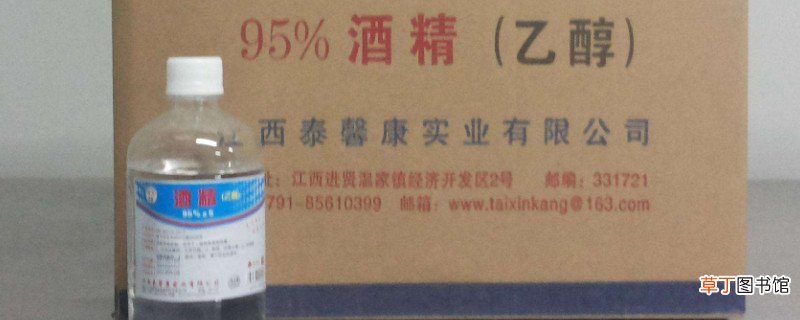 甲醇和乙醇油什么区别