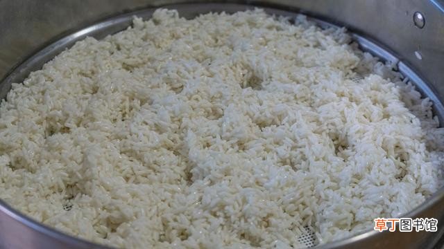 一周早餐食谱搭配高蛋白高钙营养充足 孩子营养早餐食谱