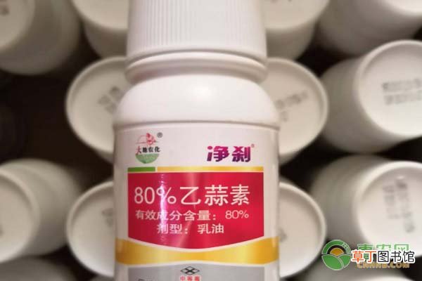 乙蒜素可以防治水稻哪些病害？