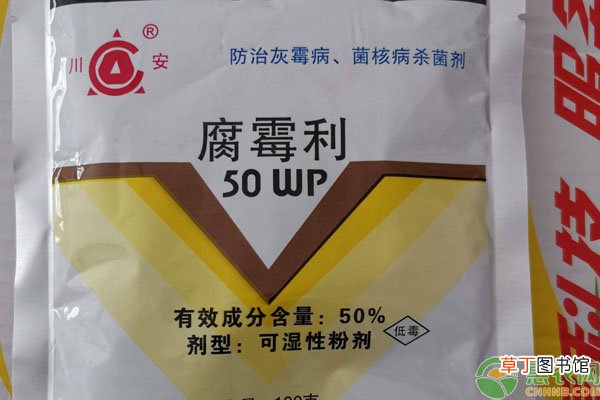 腐霉利用在果树上可以防治哪些病害？