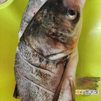 教您蟹肉鱼翅羹的做法美味又鲜嫩 鱼翅做法及窍门