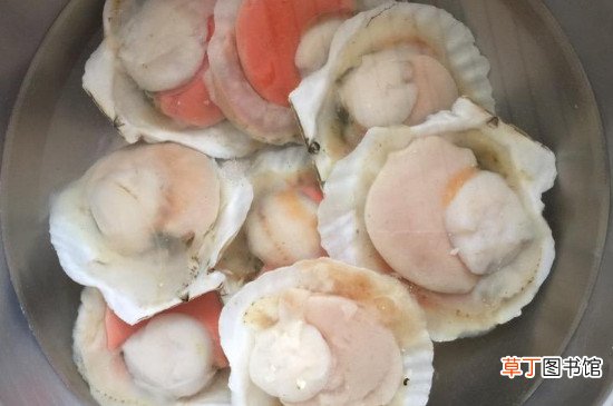 扇贝怎么冷冻保存
