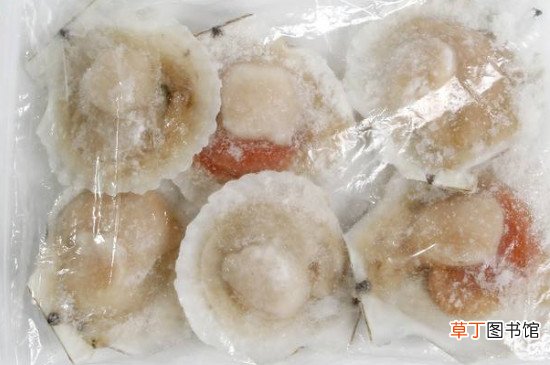 扇贝怎么冷冻保存