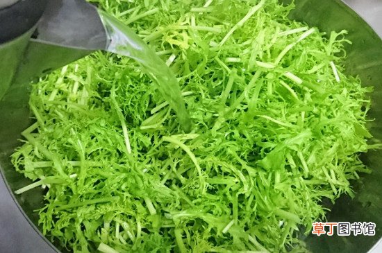 银丝芥菜是苦菊吗