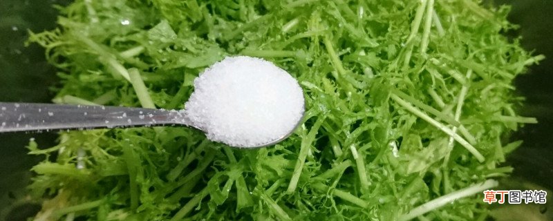 银丝芥菜是苦菊吗