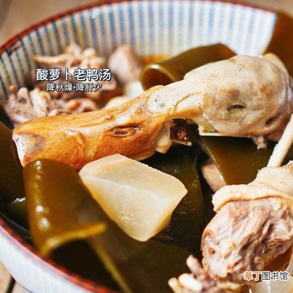 降秋燥降干火零失败酸萝卜老鸭汤 酸萝卜老鸭汤的做法