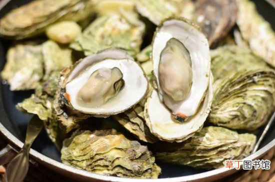 带壳海蛎子蒸还是煮