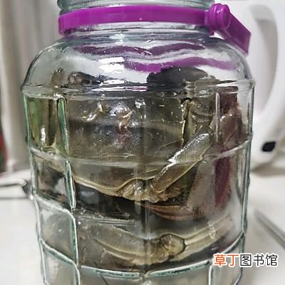醉蟹这样做也太好吃了 正宗醉蟹的做法和窍门