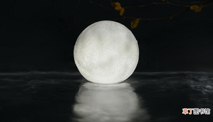 月夜忆舍弟翻译和赏析 月夜忆舍弟原文