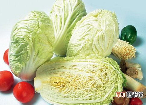 大白菜有益健康 要注意这些食用禁忌